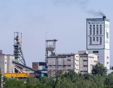 Miniatura: Wstrząs w kopalni Bielszowice. Utracono...