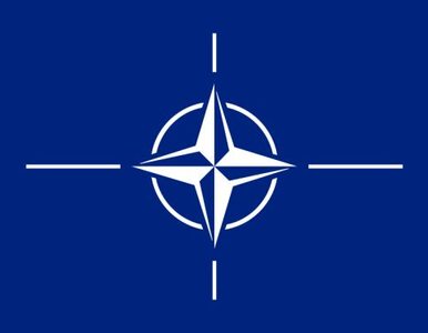 Miniatura: Stasiak o szczycie NATO: może się tam dużo...