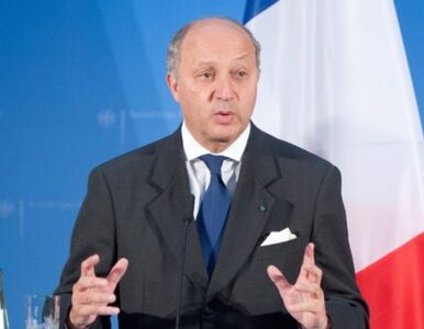 Miniatura: Francja: reżim w Syrii upadnie pod...