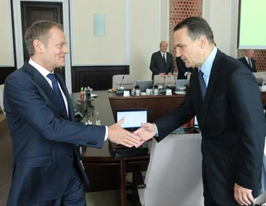 Miniatura: Sikorski budował własną frakcję w PO?