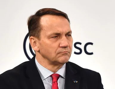 Miniatura: Sikorski o Orbanie: Ktoś jednak myśli o...