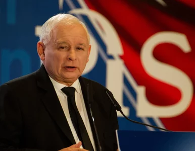 Miniatura: Jarosław Kaczyński: Premier Morawiecki...