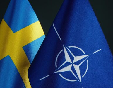 Miniatura: Przełomowa decyzja ws. rozszerzenia NATO....