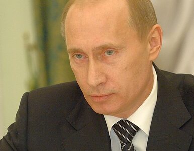 Miniatura: Gowin: w sprawie wraku decyzję podejmie Putin