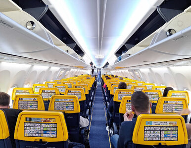 Miniatura: Ryanair odwołał setki lotów. Winę zrzucił...