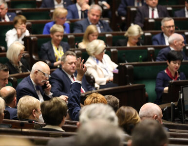 Miniatura: Sejm przyjął ustawę o zamrażaniu...