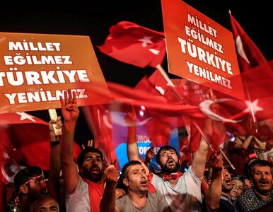 Miniatura: Turcja zawiesza stosowanie podstawowego...