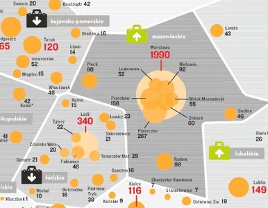 Miniatura: Mapa milionerów