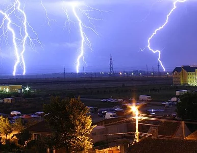 Miniatura: Przez grad i wichury ucierpiały... bociany