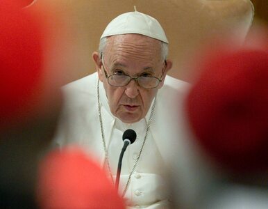 Watykan zajął stanowisko ws. słów Franciszka. „Papież nie jest politykiem”