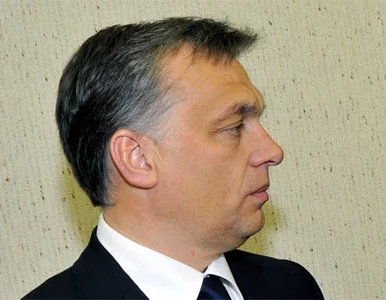 Miniatura: Orban stracił połowę sympatyków