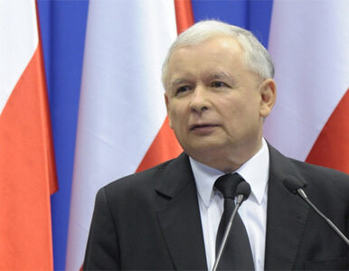 "PiS podżega do nienawiści, Kaczyńskim powinna zająć się prokuratura"
