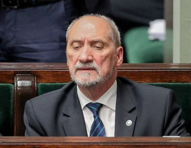 Miniatura: Kukiz: Macierewicz to jeden z najlepszych...