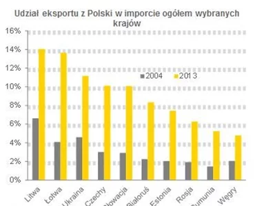 Miniatura: Polska w G20? Jesteśmy ważni systemowo,...