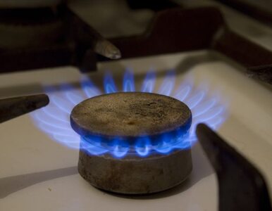 Miniatura: Minister: obniżka cen gazu będzie...