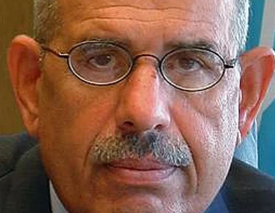 Miniatura: ElBaradei: przez bandę zbirów poleje się krew