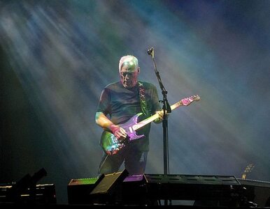 Miniatura: Pink Floyd: album "Endless River" będzie...