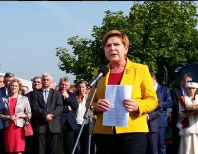 Miniatura: Szydło na "zielonej wyspie". "PO...