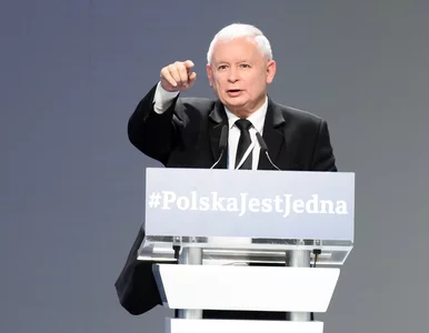 Miniatura: Kukiz: PiS dziarskim krokiem wraca do...