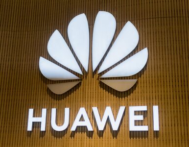 Miniatura: W sprawie Huawei UE może pójść w ślady USA