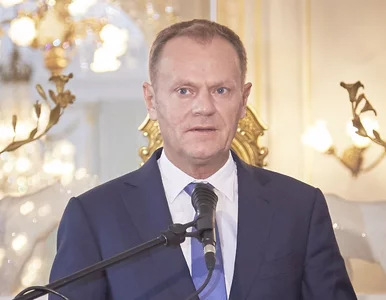 Miniatura: Tusk apeluje do Berlina o większe...