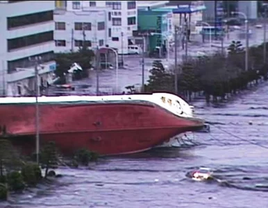 Miniatura: Świat oferuje Japonii pomoc