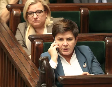 Miniatura: Premier Szydło chce przenieść pomnik Jana...