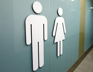 Miniatura: Toalety dla transseksualnych uczniów....