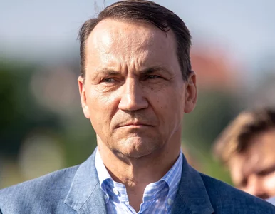 Miniatura: Sikorski może mieć poważne problemy....