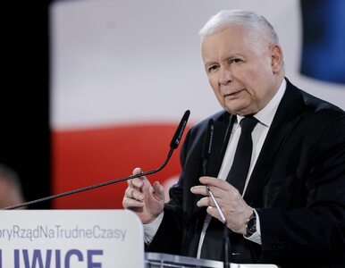 Miniatura: Kaczyński snuje mundialowe wizje....