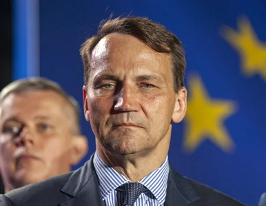 Miniatura: Sikorski chce powołania europejskiego...