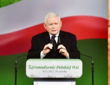 Miniatura: Jarosław Kaczyński obiecuje „okiełznanie”...
