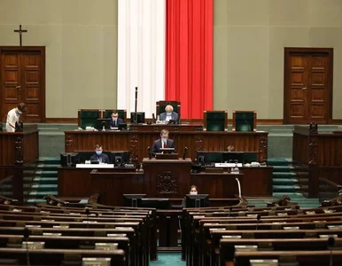 Miniatura: NA ŻYWO: Sejm debatuje o nowelizacji...