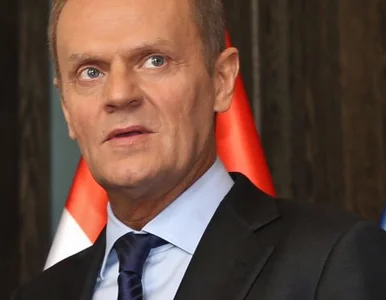 Miniatura: Tusk: w imieniu Polaków gratuluję wam