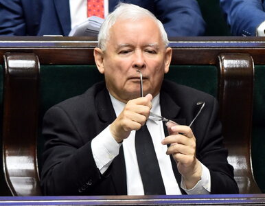 Miniatura: Jarosław Kaczyński dzieli i rządzi. Po tym...