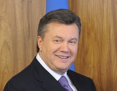 Sankcje wobec "ludzi Janukowycza". Mieli zdefraudować 30 mld dol.