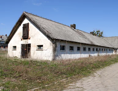 Miniatura: 250 mln zł ze środków na walkę z COVID-19...