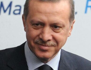 Miniatura: Turcja będzie mieć ministra ds. UE