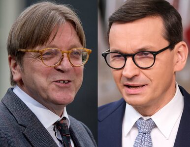 Miniatura: Guy Verhofstadt po polsku uderza w...
