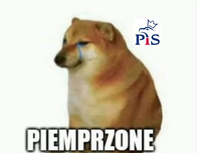 Miniatura: Rząd upadnie przez norki? Memy...