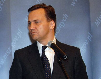 Miniatura: Sikorski spotkał się z Janukowyczem