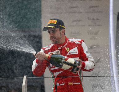 Miniatura: Kubica w F1? Alonso wciąż na niego czeka