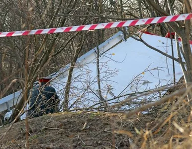 Miniatura: Archeolodzy będą wiedzieć o zmianach ws....