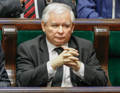 Miniatura: Kaczyński skomentował sukces polskich...