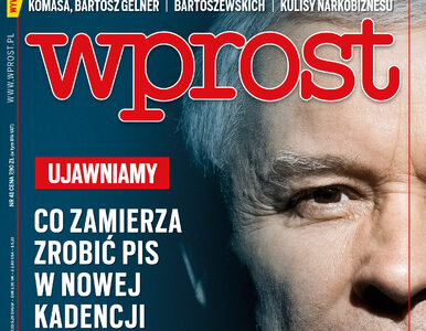 „Plan Kaczyńskiego”, czyli zamiary PiS na kolejną kadencję. Co jeszcze w...