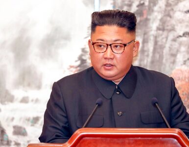 Miniatura: Korea Północna wystrzeliła pociski, Stany...