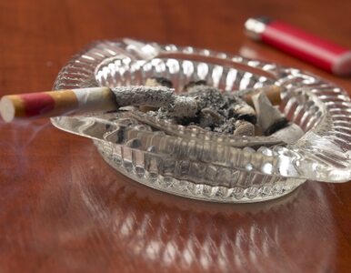 Miniatura: SLD upomni się o prawa palaczy? Ustawa...