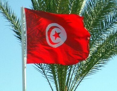 Miniatura: Polka mieszkająca w Tunezji: Ludzie nie...