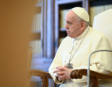 Miniatura: Papież wznawia audiencje z udziałem...
