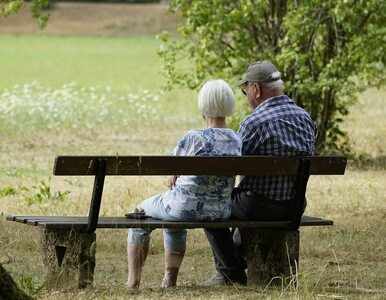Miniatura: Wdowie emerytury utknęły w sejmowej...